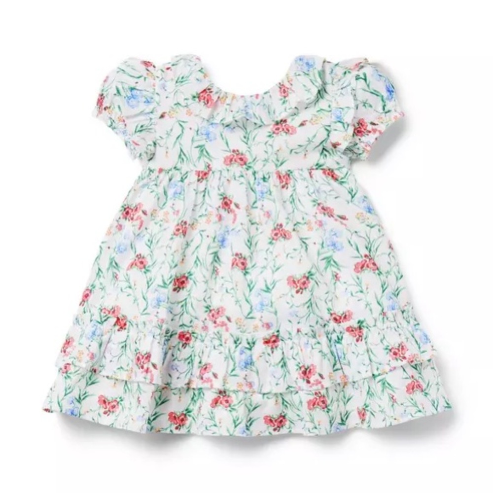 Janie and Jack Floral Dress with Pink and Green Accents